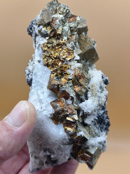 Museumsstück Pyrit Zinkblende Quarz Chalkopyrit – Madan Bulgarien – große Mehrmineral Stufe Kristall Sammler Geschenk Unikat - Art of Nature Berlin