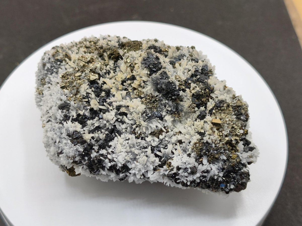Museumsstück Sphalerit (Zinkblende) mit Pyrit & Bergkristall - Madan, Bulgarien 411 g Mehrmineral Stufe Kristall Sammler Mineralien - Art of Nature Berlin