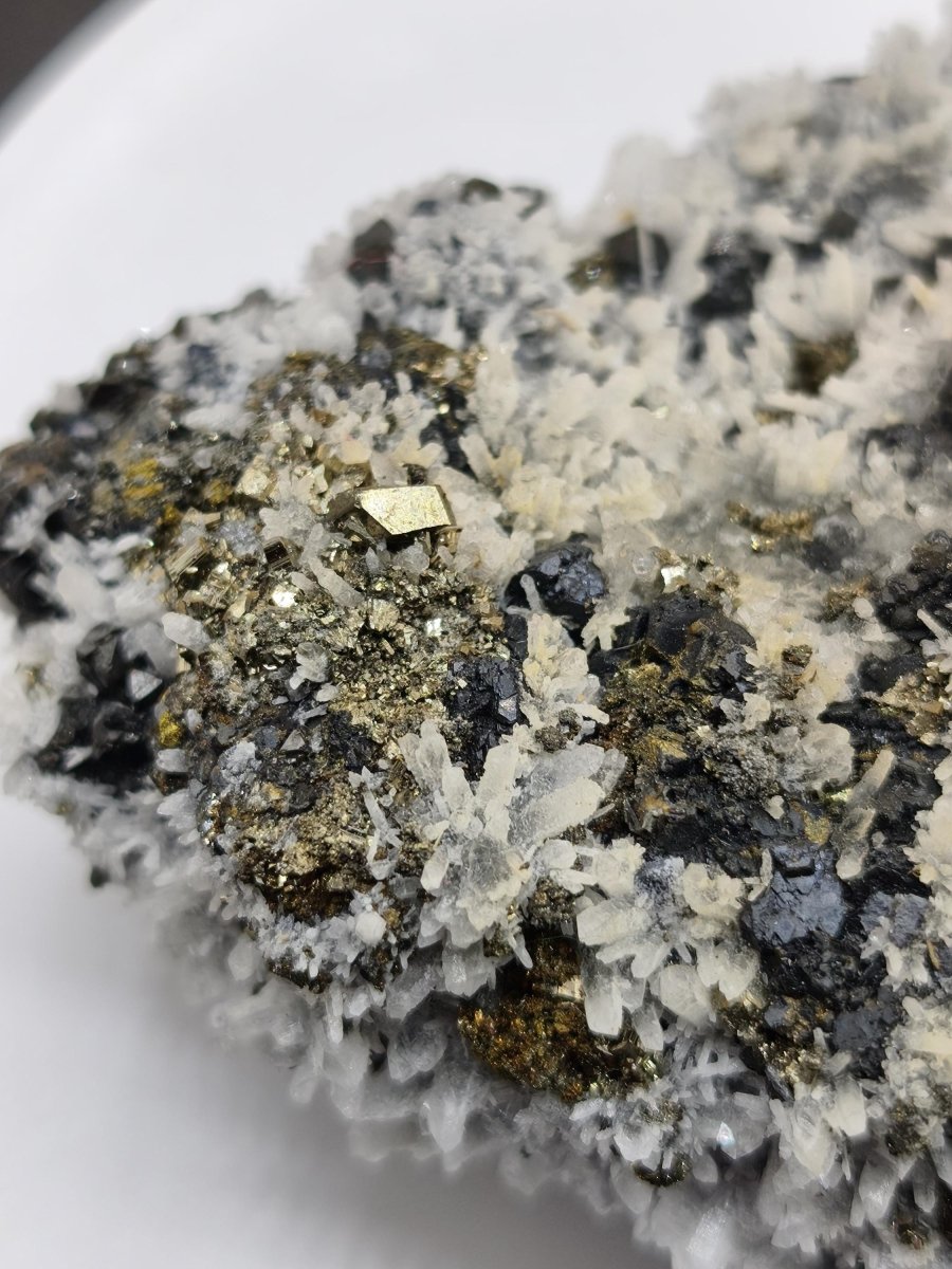 Museumsstück Sphalerit (Zinkblende) mit Pyrit & Bergkristall - Madan, Bulgarien 411 g Mehrmineral Stufe Kristall Sammler Mineralien - Art of Nature Berlin