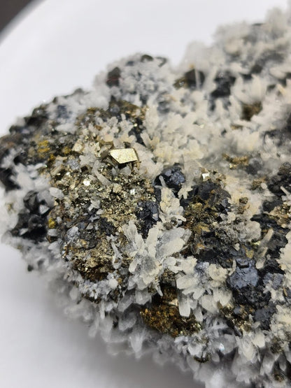 Museumsstück Sphalerit (Zinkblende) mit Pyrit & Bergkristall - Madan, Bulgarien 411 g Mehrmineral Stufe Kristall Sammler Mineralien - Art of Nature Berlin