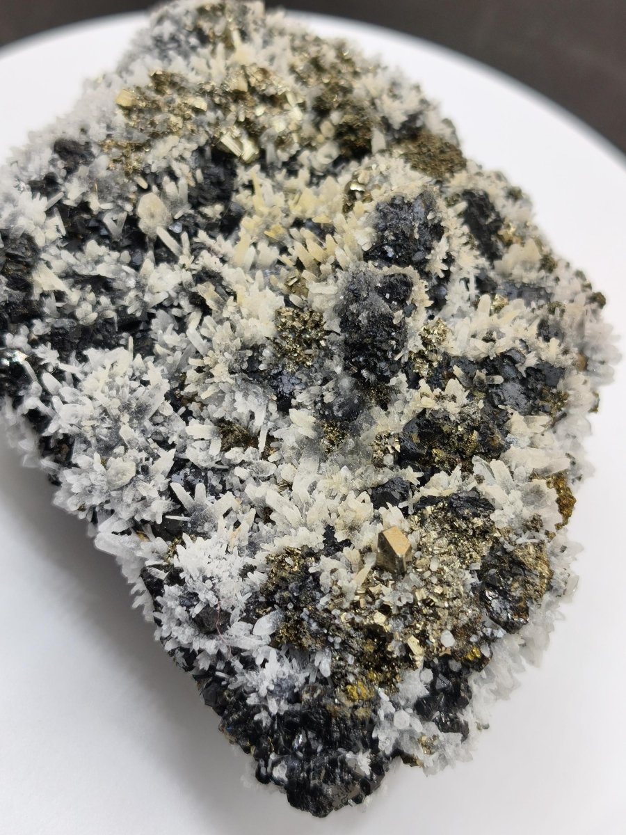 Museumsstück Sphalerit (Zinkblende) mit Pyrit & Bergkristall - Madan, Bulgarien 411 g Mehrmineral Stufe Kristall Sammler Mineralien - Art of Nature Berlin