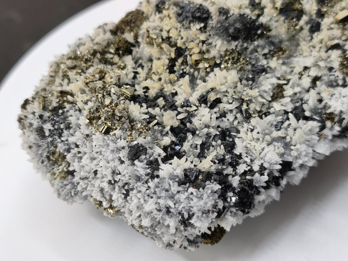 Museumsstück Sphalerit (Zinkblende) mit Pyrit & Bergkristall - Madan, Bulgarien 411 g Mehrmineral Stufe Kristall Sammler Mineralien - Art of Nature Berlin