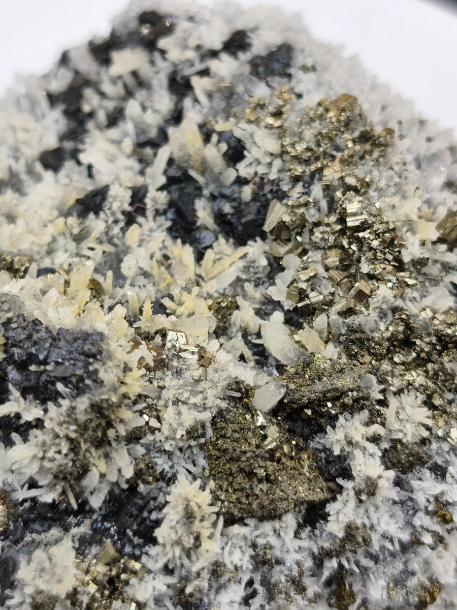Museumsstück Sphalerit (Zinkblende) mit Pyrit & Bergkristall - Madan, Bulgarien 411 g Mehrmineral Stufe Kristall Sammler Mineralien - Art of Nature Berlin