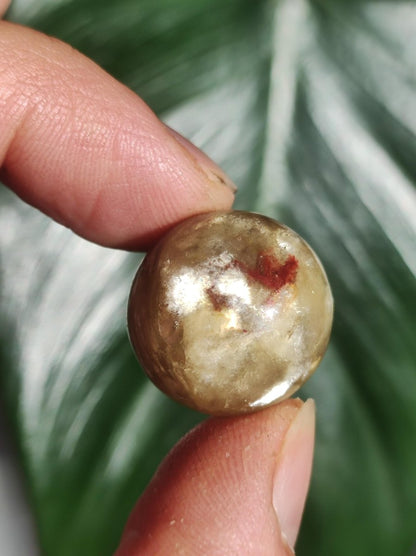 Muskovit / Golden Mica Glimmer - Edelstein Kugel gelb Natur Heilstein Deko Sphere Kristall Geschenk Er Sie Haus Sammler Rarität - Art of Nature Berlin