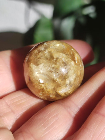 Muskovit / Golden Mica Glimmer - Edelstein Kugel gelb Natur Heilstein Deko Sphere Kristall Geschenk Er Sie Haus Sammler Rarität - Art of Nature Berlin