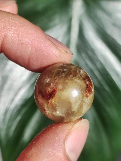 Muskovit / Golden Mica Glimmer - Edelstein Kugel gelb Natur Heilstein Deko Sphere Kristall Geschenk Er Sie Haus Sammler Rarität - Art of Nature Berlin