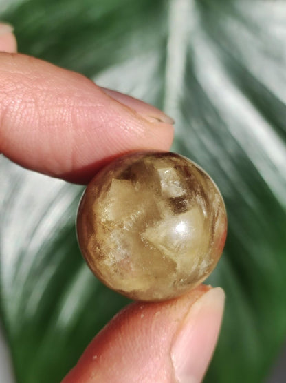 Muskovit / Golden Mica Glimmer - Edelstein Kugel gelb Natur Heilstein Deko Sphere Kristall Geschenk Er Sie Haus Sammler Rarität - Art of Nature Berlin