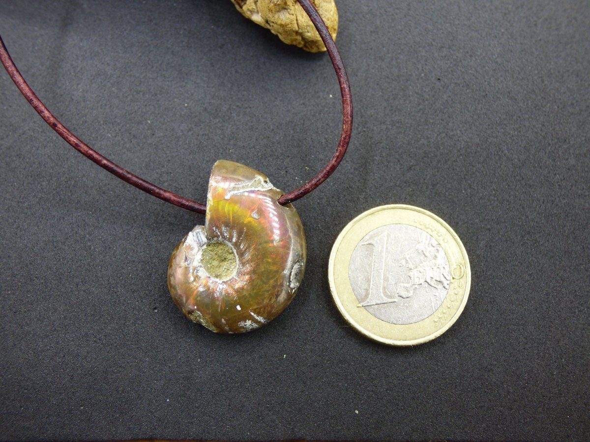 Opalisierende Ammonite Schnecke Edelstein Kette Natur HIPPIE GOA Boho Heilstein Kristalle Schmuck Anhänger Mann Frau Kind Geschenk Er Sie - Art of Nature Berlin