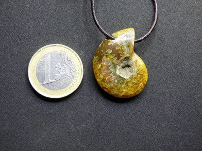 Opalisierende Ammonite Schnecke ~ Kette ~HIPPIE ~GOA ~Boho ~Ethno ~Nature ~Heilstein - Art of Nature Berlin