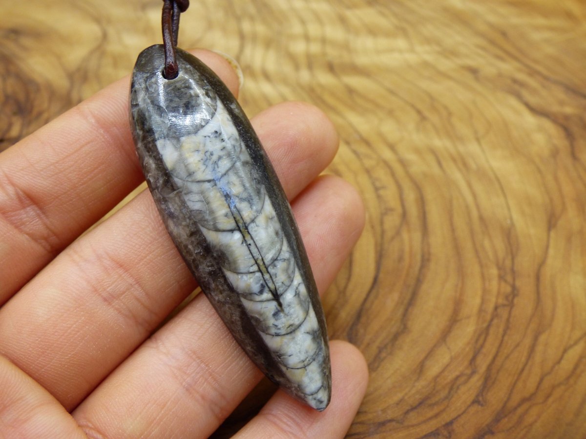 Orthoceras Fossil ~ Edelstein Kette ~HIPPIE ~GOA ~Boho ~Ethno ~Nature ~Heilstein - Art of Nature Berlin