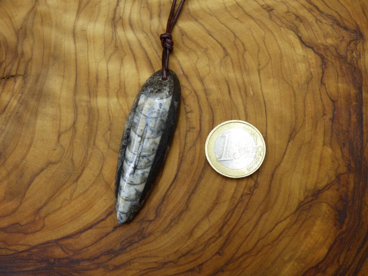 Orthoceras Fossil ~ Edelstein Kette ~HIPPIE ~GOA ~Boho ~Ethno ~Nature ~Heilstein - Art of Nature Berlin