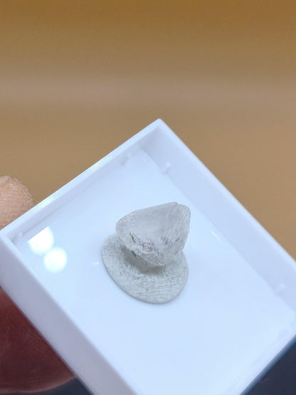 Phenakit AAA Sammlerqualität Rarität roh Sammler Stufe Edelstein Deko Kristall Heilstein seltene Mineralien Kollektion Meditation Wertanlage - Art of Nature Berlin