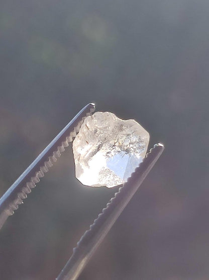 Phenakit AAA Sammlerqualität Rarität roh Sammler Stufe Edelstein Deko Kristall Heilstein seltene Mineralien Kollektion Meditation Wertanlage - Art of Nature Berlin