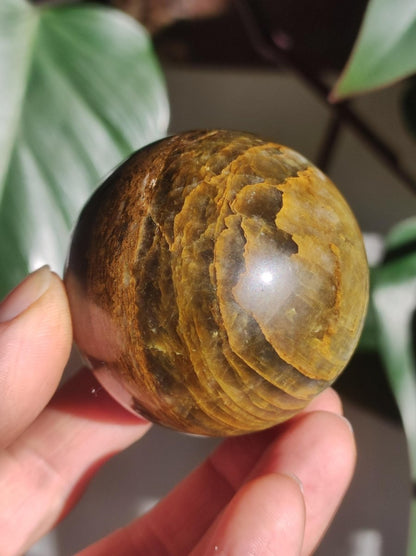 Pietersite gold Edelstein Kugel Massage Haus Magische Deko Sphere Kristall Meditation HIPPIE GOA Boho Heilstein Naturschatz Sammler Mineral - Art of Nature Berlin