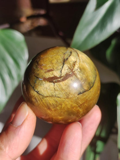 Pietersite gold Edelstein Kugel Massage Haus Magische Deko Sphere Kristall Meditation HIPPIE GOA Boho Heilstein Naturschatz Sammler Mineral - Art of Nature Berlin