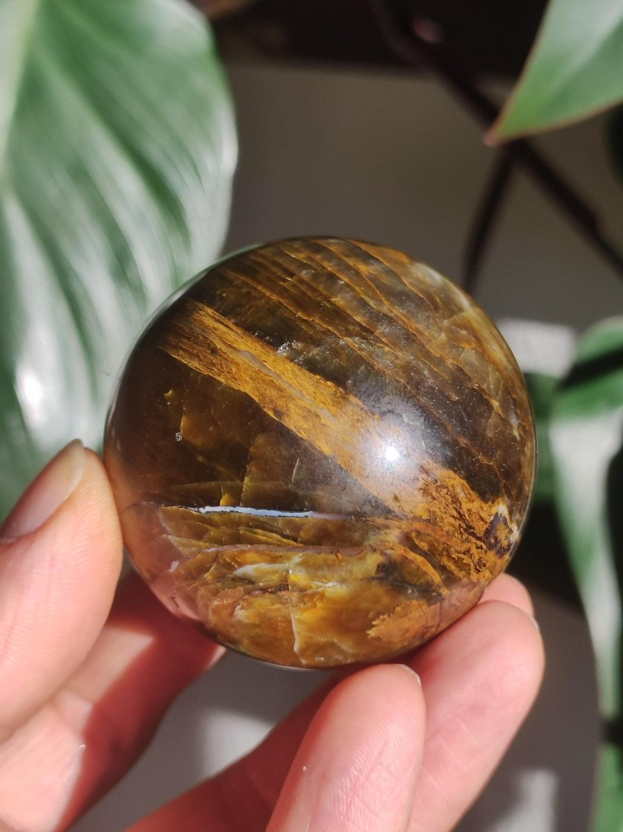 Pietersite gold Edelstein Kugel Massage Haus Magische Deko Sphere Kristall Meditation HIPPIE GOA Boho Heilstein Naturschatz Sammler Mineral - Art of Nature Berlin