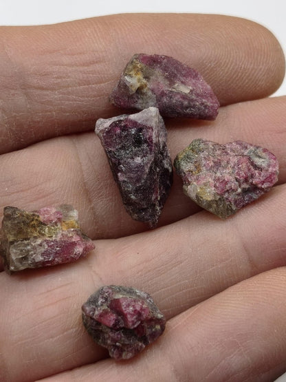 Pink Turmalin Rohsteine – 5er Set aus Brasilien | Rubellit Kristalle & Mineralien Sammler Stufen Edelstein Deko Kristall Heilstein - Art of Nature Berlin