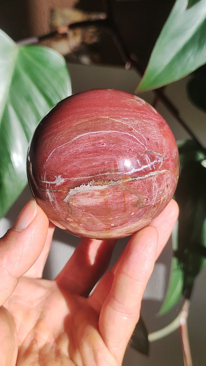 Bois Pétrifié - XL Boule de Pierre Précieuse Rouge Pierre de Guérison Naturelle Décoration Sphère Collectionneur Nature Vivante Qualité Rare Rareté Cadeau Homme Femme Il Elle