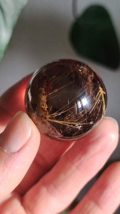 AAA Rutilated Quartz ~ Magical Gemstone Ball Decoration Sphere Clear Meditation Natural Healing Stone Living Collector Rarity High Quality Art of Nature