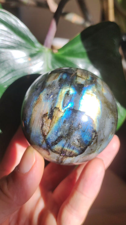 Labradorite – Boule de pierres précieuses décoratives, sphère de massage, boule de jeu en cristal, méditation, pierre de guérison, cadeau pour femme et homme, pour sa maison, l'énergie, le rêve vivant