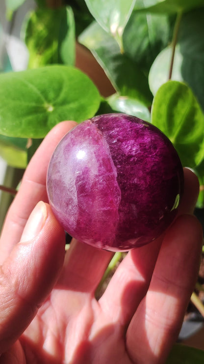 Fluorite rose rose rouge ~ Boule de pierres précieuses magique Massage et décoration Sphère Boule de jeu en cristal Méditation HIPPIE GOA Pierre de guérison ethnique Trésor naturel