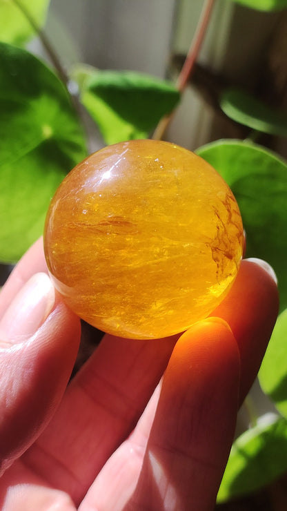 Mica Fluorite Jaune AAA Boule de Pierres Précieuses Sphère Décorative Massage Collecteur de Cristal Méditation Pierre de Guérison Femme Homme Cadeau Lui Sa Maison Énergie Vivante