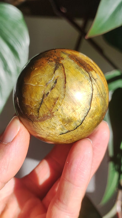 Pietersite or boule de pierres précieuses maison de massage décoration magique sphère cristal méditation HIPPIE GOA boho pierre de guérison naturel trésor collecteur minéral