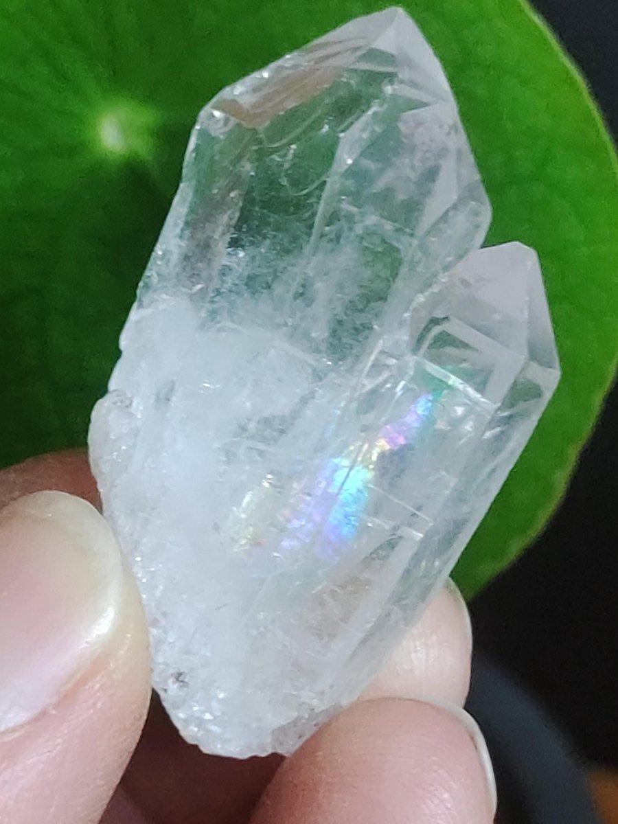 Quarz Bergkristall Regenbogen Spitze Sammler Stufen Rarität Edelstein Deko Kristall Heilstein Mineral Kollektion Energie Natur Unikat Selten - Art of Nature Berlin