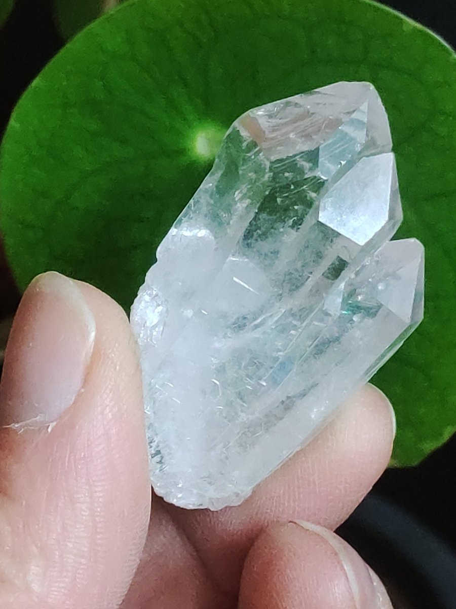 Quarz Bergkristall Regenbogen Spitze Sammler Stufen Rarität Edelstein Deko Kristall Heilstein Mineral Kollektion Energie Natur Unikat Selten - Art of Nature Berlin