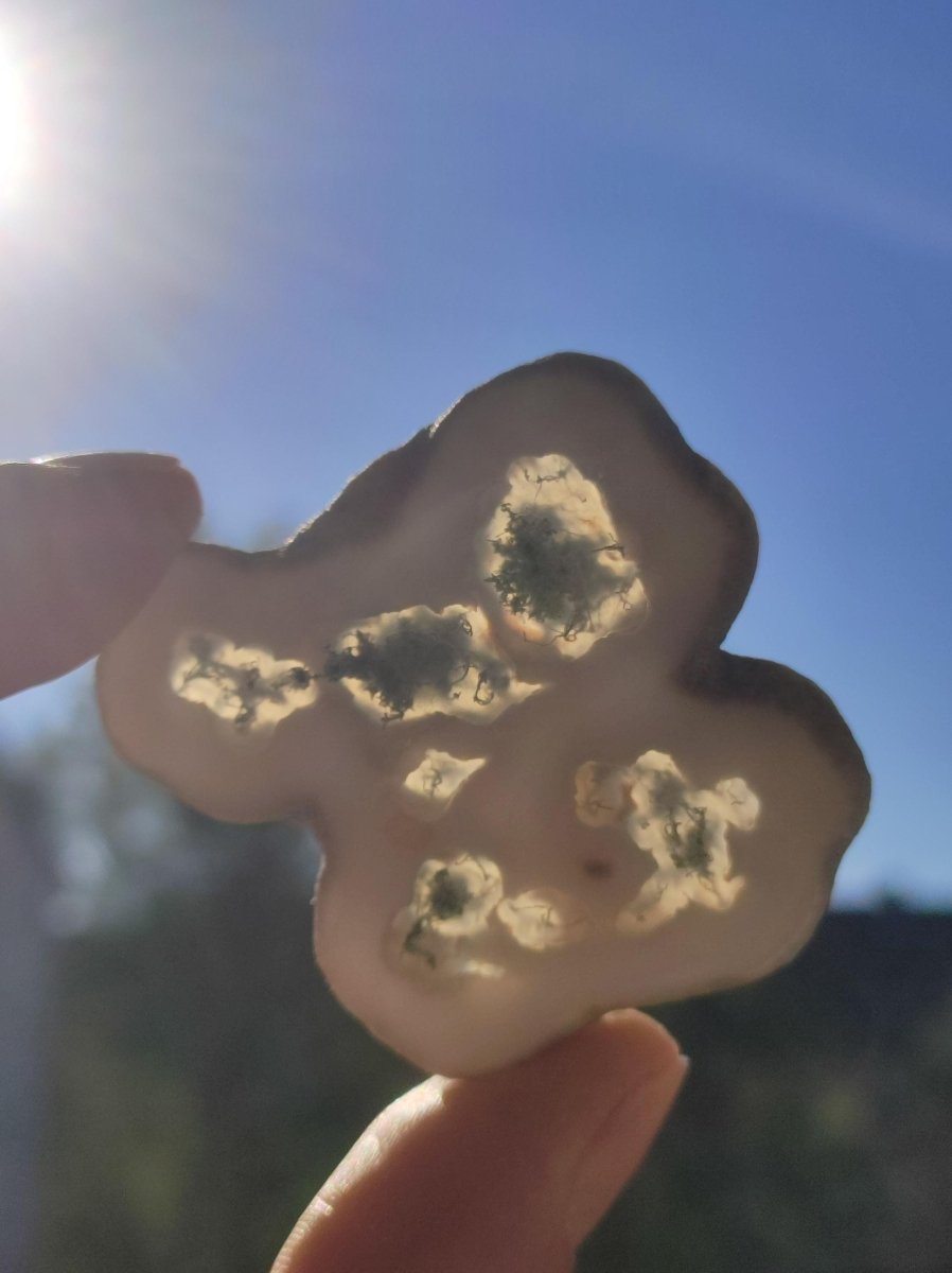 Quarz Moosachat Scheibe Geode - Kristall Magische Edelstein Deko Sammler Unikat HIPPIE GOA Ethno Heilstein Natur Wohnen - Art of Nature Berlin