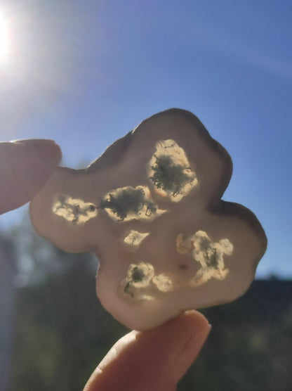 Quarz Moosachat Scheibe Geode - Kristall Magische Edelstein Deko Sammler Unikat HIPPIE GOA Ethno Heilstein Natur Wohnen - Art of Nature Berlin