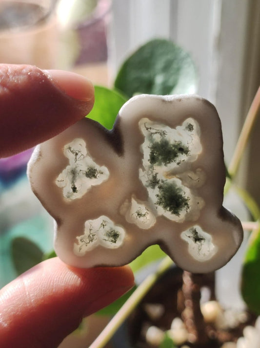 Quarz Moosachat Scheibe Geode - Kristall Magische Edelstein Deko Sammler Unikat HIPPIE GOA Ethno Heilstein Natur Wohnen - Art of Nature Berlin