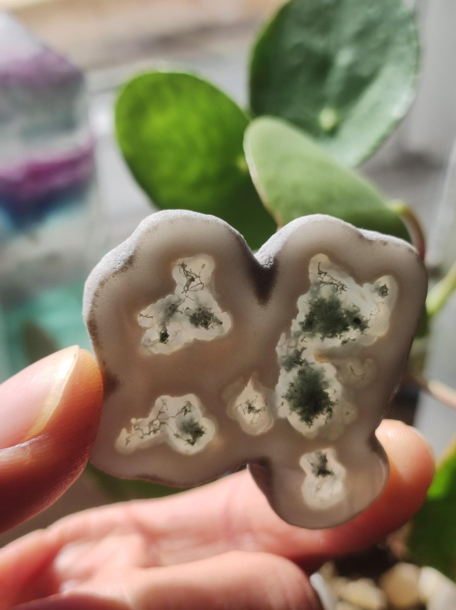 Quarz Moosachat Scheibe Geode - Kristall Magische Edelstein Deko Sammler Unikat HIPPIE GOA Ethno Heilstein Natur Wohnen - Art of Nature Berlin