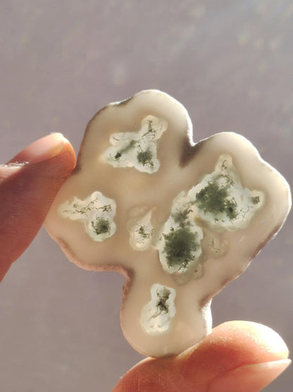 Quarz Moosachat Scheibe Geode - Kristall Magische Edelstein Deko Sammler Unikat HIPPIE GOA Ethno Heilstein Natur Wohnen - Art of Nature Berlin