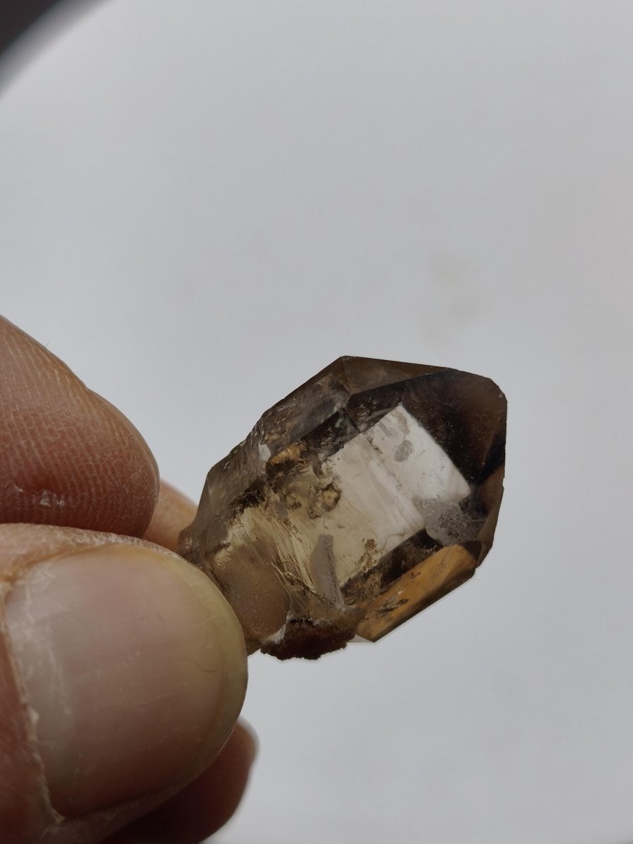 Rauchquarz Kristall mit Begleitkristallen – Erongo Namibia – 27 mm Sammlerstufe Zepter Kristall – Natürlicher Scepter Stufe Sammler Mineral - Art of Nature Berlin
