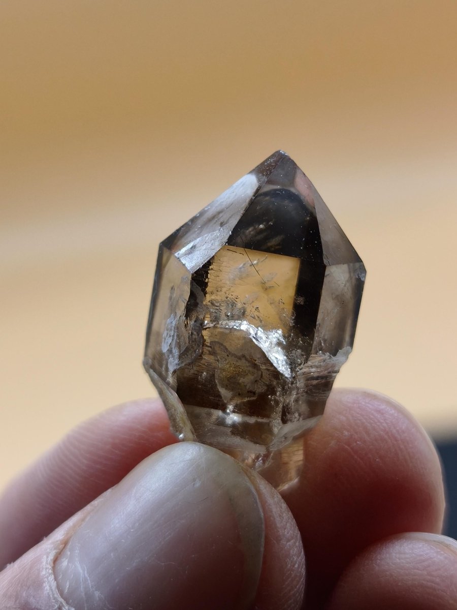 Rauchquarz Kristall mit Begleitkristallen – Erongo Namibia – 27 mm Sammlerstufe Zepter Kristall – Natürlicher Scepter Stufe Sammler Mineral - Art of Nature Berlin