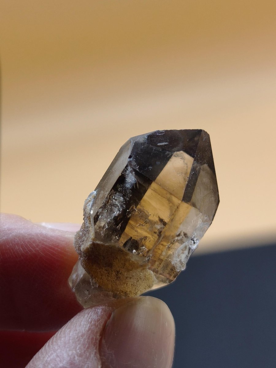 Rauchquarz Kristall mit Begleitkristallen – Erongo Namibia – 27 mm Sammlerstufe Zepter Kristall – Natürlicher Scepter Stufe Sammler Mineral - Art of Nature Berlin