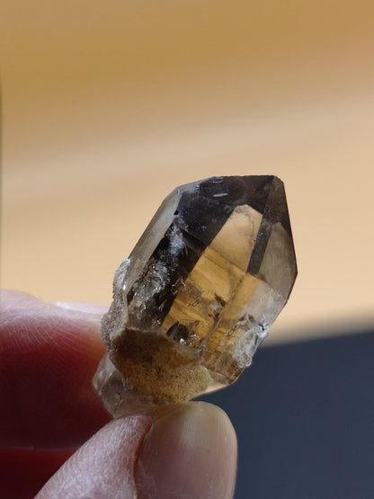 Rauchquarz Kristall mit Begleitkristallen – Erongo Namibia – 27 mm Sammlerstufe Zepter Kristall – Natürlicher Scepter Stufe Sammler Mineral - Art of Nature Berlin