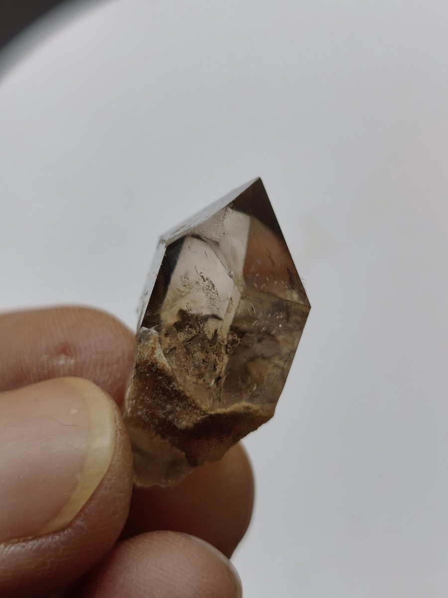 Rauchquarz Kristall mit Begleitkristallen – Erongo Namibia – 27 mm Sammlerstufe Zepter Kristall – Natürlicher Scepter Stufe Sammler Mineral - Art of Nature Berlin