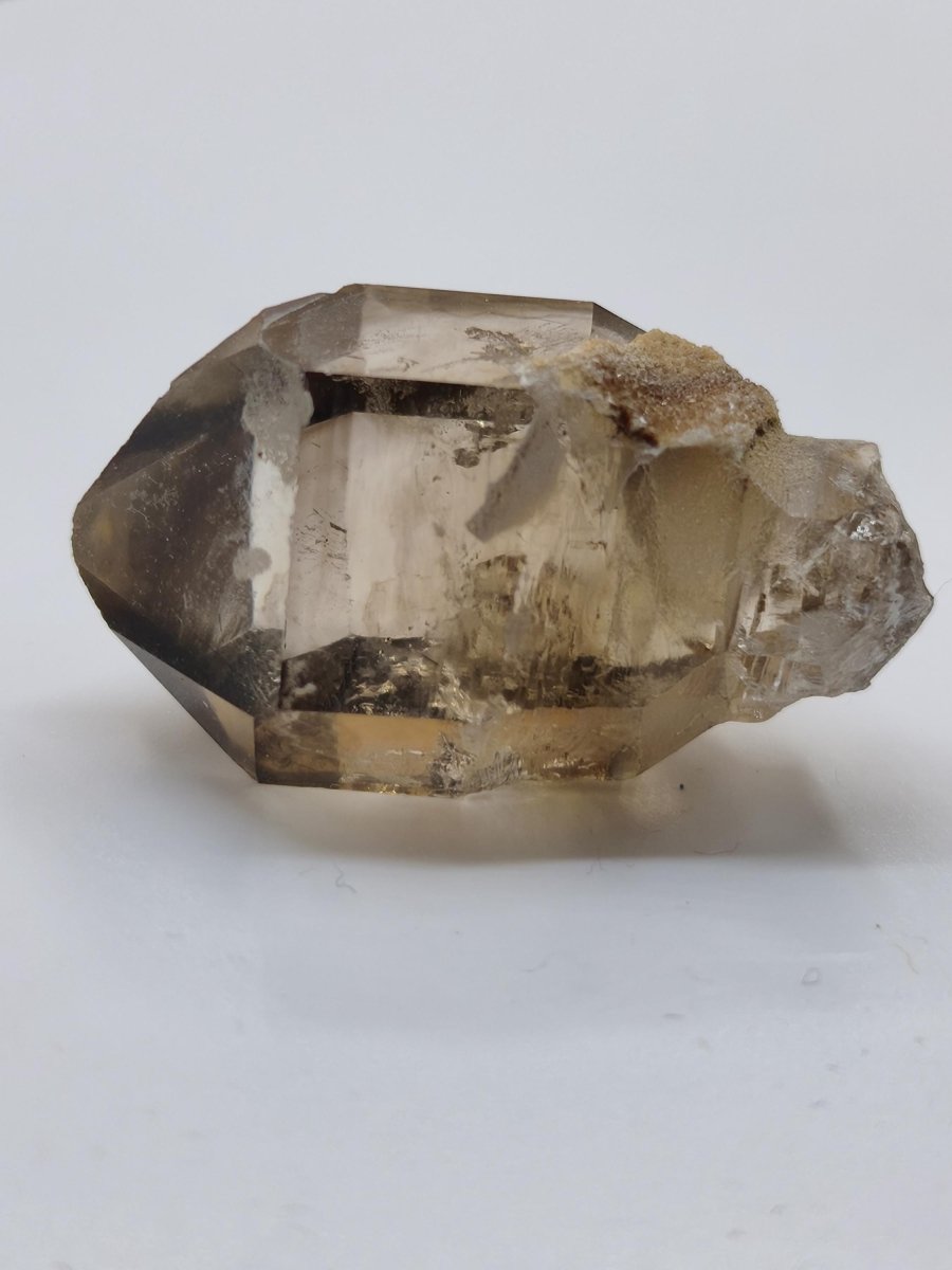 Rauchquarz Kristall mit Begleitkristallen – Erongo Namibia – 27 mm Sammlerstufe Zepter Kristall – Natürlicher Scepter Stufe Sammler Mineral - Art of Nature Berlin