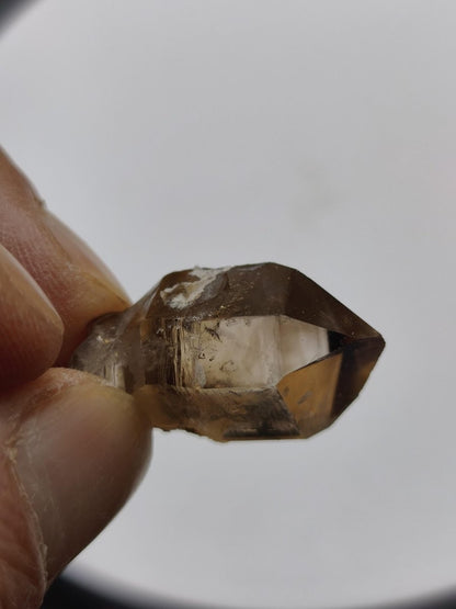 Rauchquarz Kristall mit Begleitkristallen – Erongo Namibia – 27 mm Sammlerstufe Zepter Kristall – Natürlicher Scepter Stufe Sammler Mineral - Art of Nature Berlin