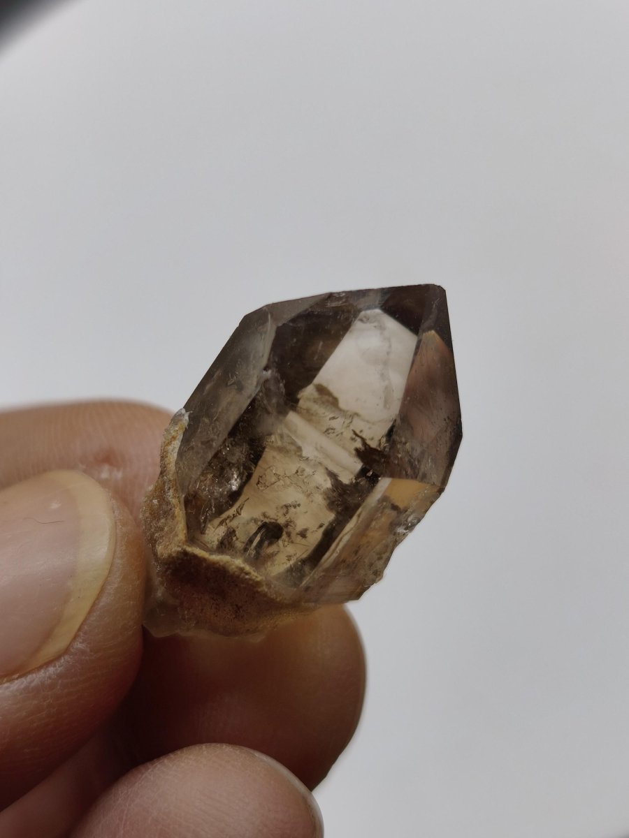 Rauchquarz Kristall mit Begleitkristallen – Erongo Namibia – 27 mm Sammlerstufe Zepter Kristall – Natürlicher Scepter Stufe Sammler Mineral - Art of Nature Berlin