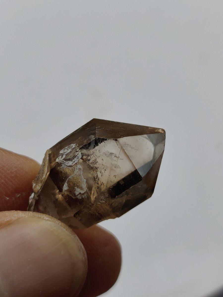 Rauchquarz Kristall mit Begleitkristallen – Erongo Namibia – 27 mm Sammlerstufe Zepter Kristall – Natürlicher Scepter Stufe Sammler Mineral - Art of Nature Berlin