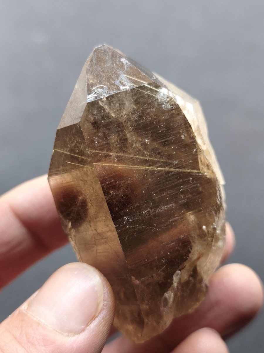 Rauchquarz mit Rutil gold roh Sammler Stufe Kristall Rarität ~ Edelstein Deko Heilstein Mineral Kollektion Energie Natur - Art of Nature Berlin