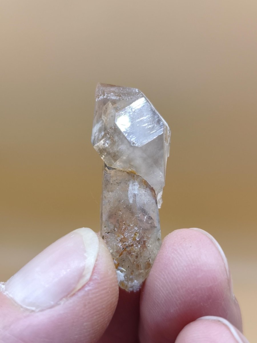Rauchquarz Zepter Kristall – Natürlicher Scepter Quartz mit transparenter Spitze – 25 mm Kristall Stufe Sammler Unikat Geschenk Heilstein - Art of Nature Berlin