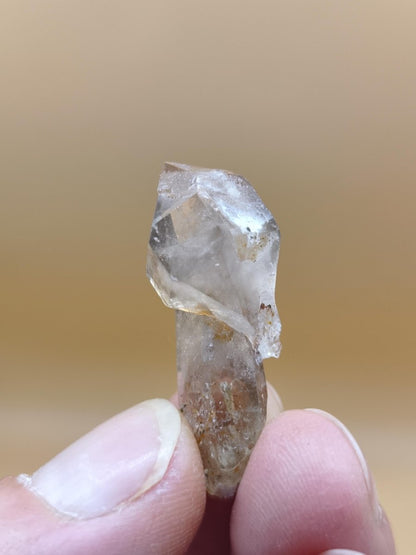 Rauchquarz Zepter Kristall – Natürlicher Scepter Quartz mit transparenter Spitze – 25 mm Kristall Stufe Sammler Unikat Geschenk Heilstein - Art of Nature Berlin