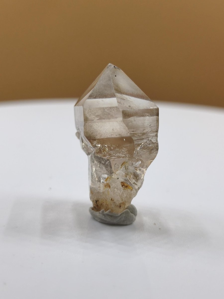 Rauchquarz Zepter Kristall – Natürlicher Scepter Quartz mit transparenter Spitze – 25 mm Kristall Stufe Sammler Unikat Geschenk Heilstein - Art of Nature Berlin