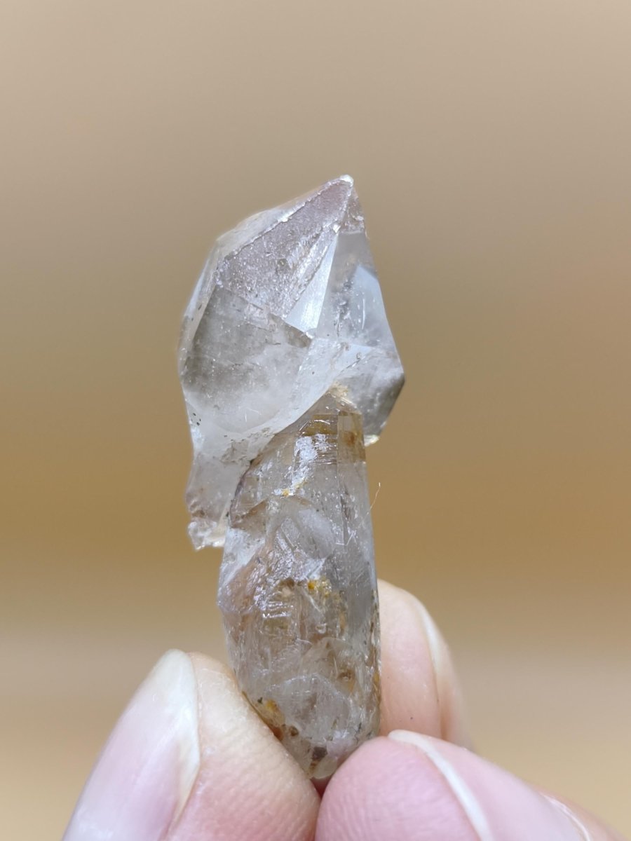 Rauchquarz Zepter Kristall – Natürlicher Scepter Quartz mit transparenter Spitze – 25 mm Kristall Stufe Sammler Unikat Geschenk Heilstein - Art of Nature Berlin