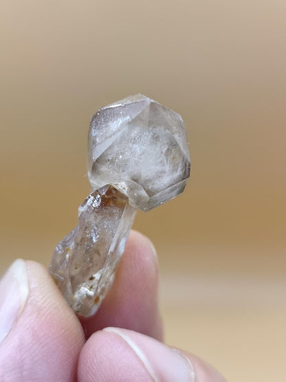 Rauchquarz Zepter Kristall – Natürlicher Scepter Quartz mit transparenter Spitze – 25 mm Kristall Stufe Sammler Unikat Geschenk Heilstein - Art of Nature Berlin