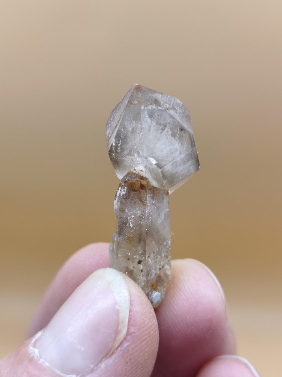Rauchquarz Zepter Kristall – Natürlicher Scepter Quartz mit transparenter Spitze – 25 mm Kristall Stufe Sammler Unikat Geschenk Heilstein - Art of Nature Berlin